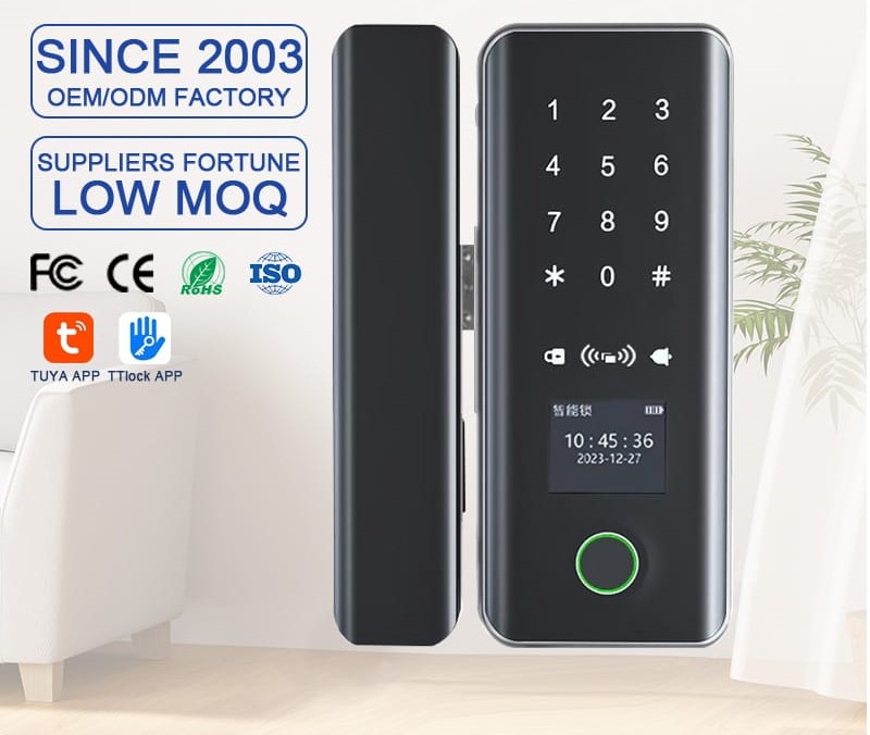Smart Glass Door Lock