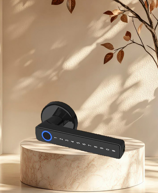 Smart Lock (SF047)