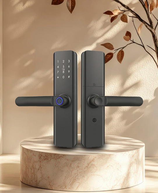 Smart Lock (SF059)
